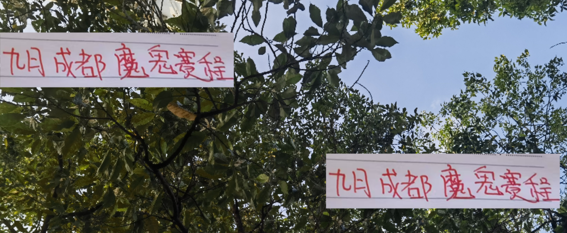 相比申花 海港 北京国安 9月成都蓉城才是魔鬼赛程2主3客